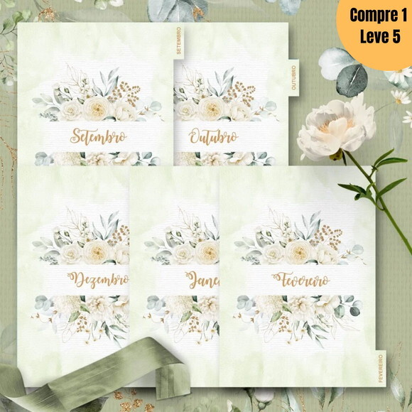 Arquivo Digital Planner da Pioneira 2025 -889