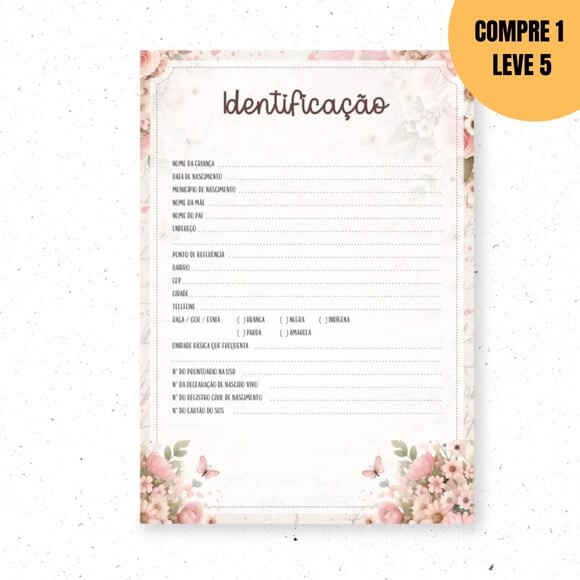 Arquivo Digital Capas Fadinha -2214