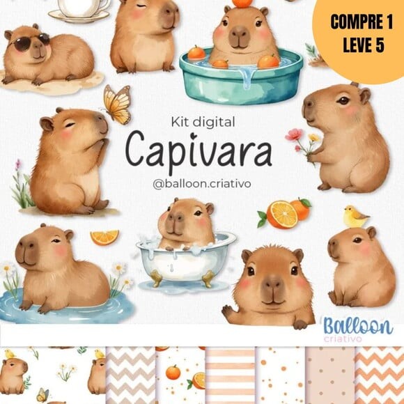 Arquivo Digital Capivara Kit Digital -2275