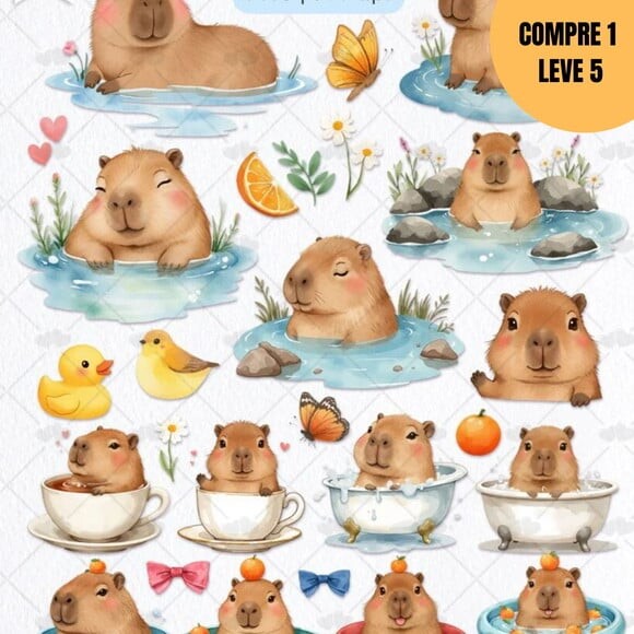 Arquivo Digital Capivara Kit Digital -2275