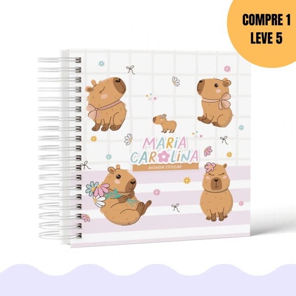 Arquivo Digital Capivara Volta às Aulas 2026 -6175