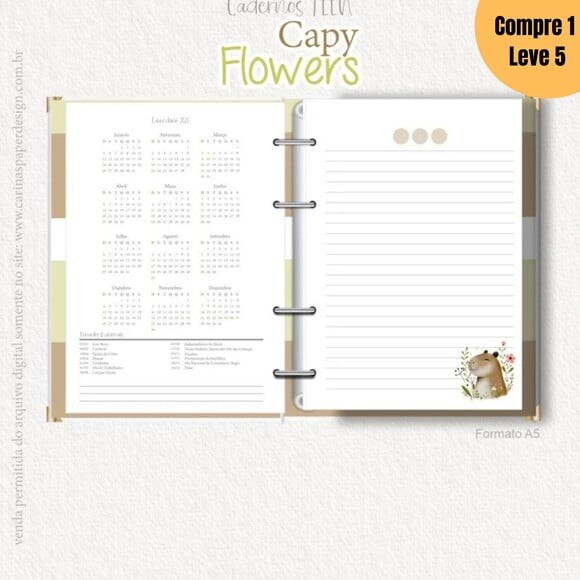 Arquivo Digital Coleção Cadernos Teen Capy 2025 -1152