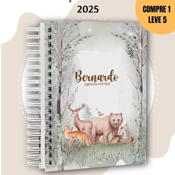 Arquivo Digital Coleção Escolar 2025 -1460