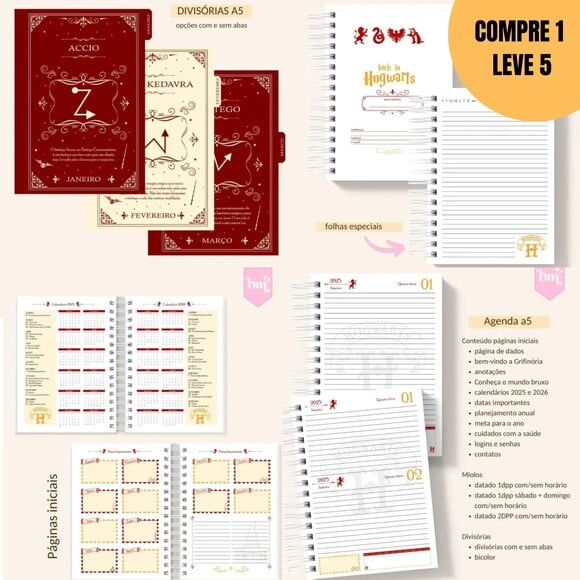 Arquivo Digital Coleção Harry Potter Vol.1 Grifinória -2225