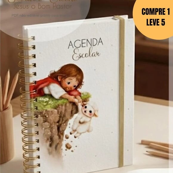 Arquivo Digital Combo Agenda Escolar Ef Creche -6284