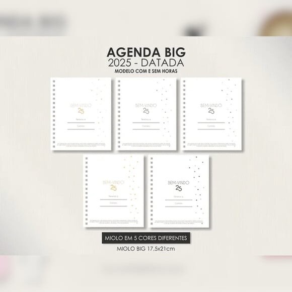 Arquivo Digital Miolo Big Agenda Visão Semanal 2025 - 179