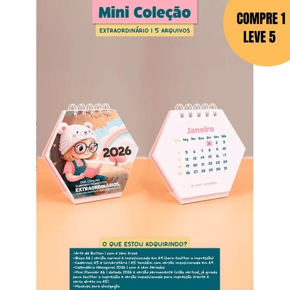 Arquivo Digital Planner Mini Coleção Extraordinário -4658
