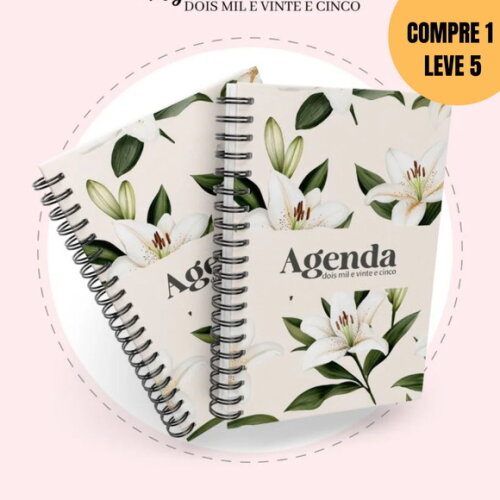 Arquivo Digital Agenda Semanal Big 18×24 Datada 2025 -189