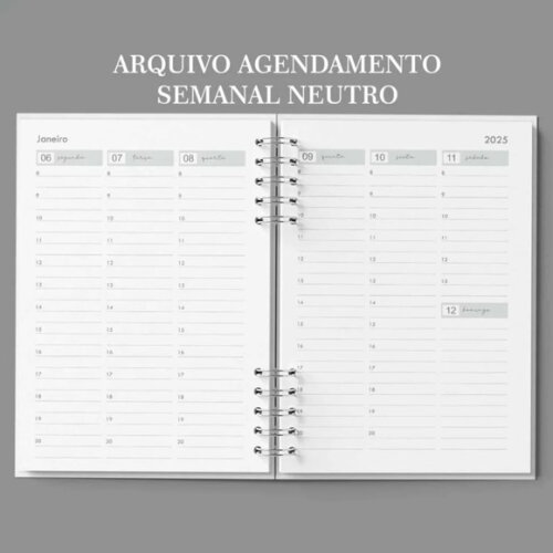 Arquivo Digital Agendamento Semanal 2025 Neutro - 152