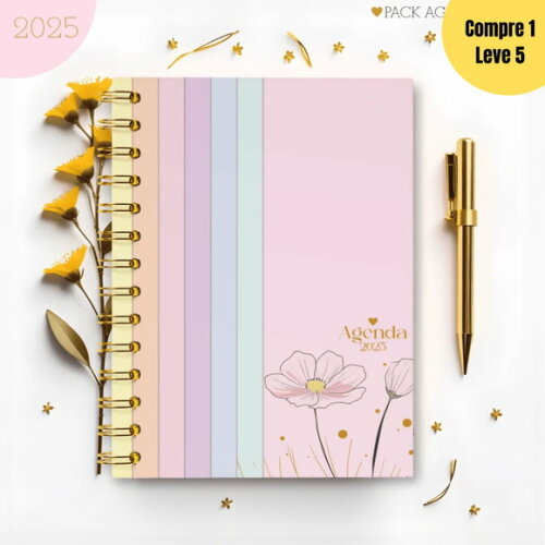 Arquivo Digital Agendas Femininas 2025 - 383
