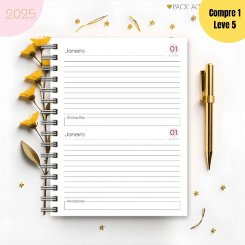 Arquivo Digital Agendas Femininas 2025 - 383