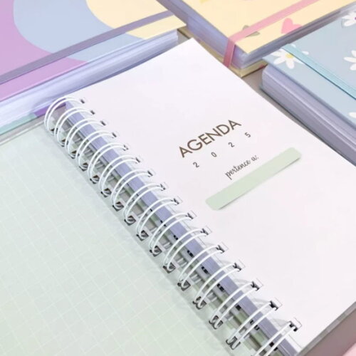 Arquivo Digital Agendas Slim 2025 - 314
