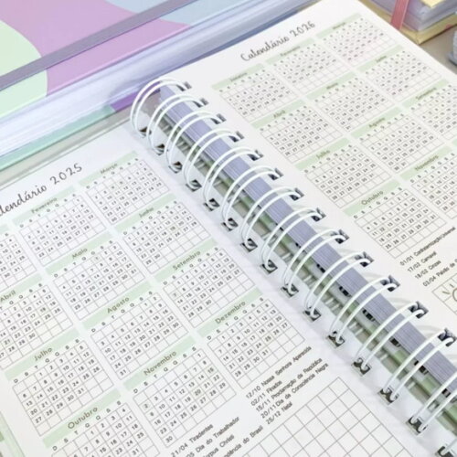 Arquivo Digital Agendas Slim 2025 - 314