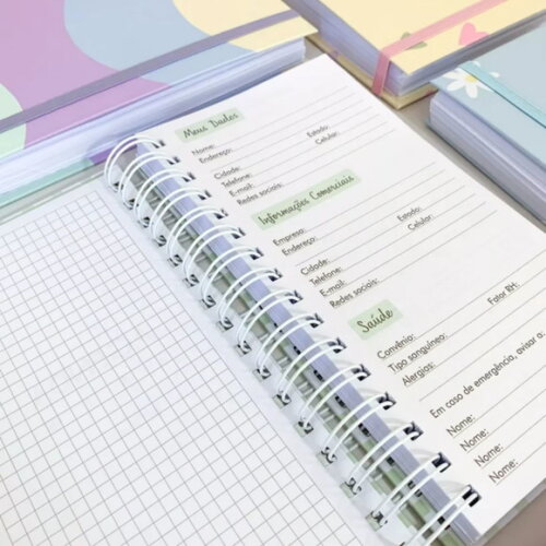 Arquivo Digital Agendas Slim 2025 - 314