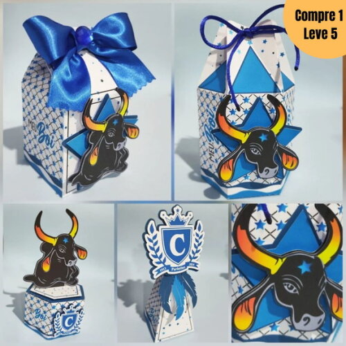 Arquivo Digital Boi Caprichoso Kit Festa Pronta -1038