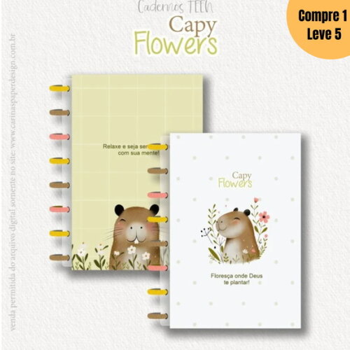 Arquivo Digital Coleção Cadernos Teen Capy 2025 -1152