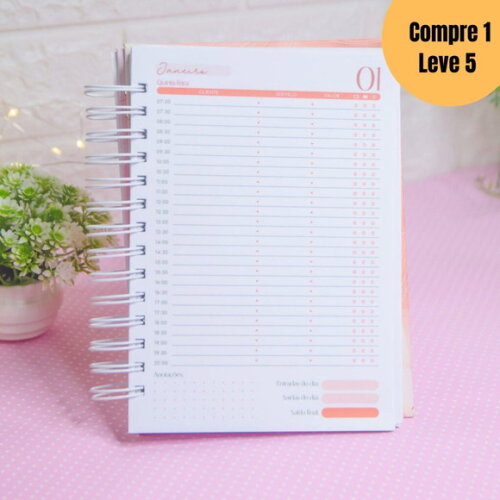 Arquivo Digital Combo Agendamentos 2026 + Perm Datado -5195