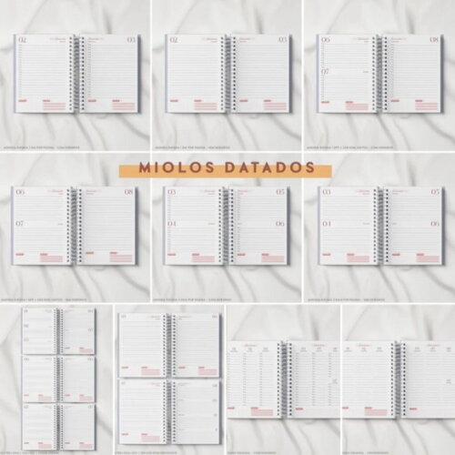 Arquivo Digital Combo Agendas Datada / Não Datada -316