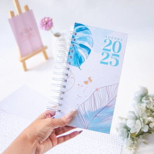 Arquivo Digital Combo Agendas Slim Datadas 2025 -645