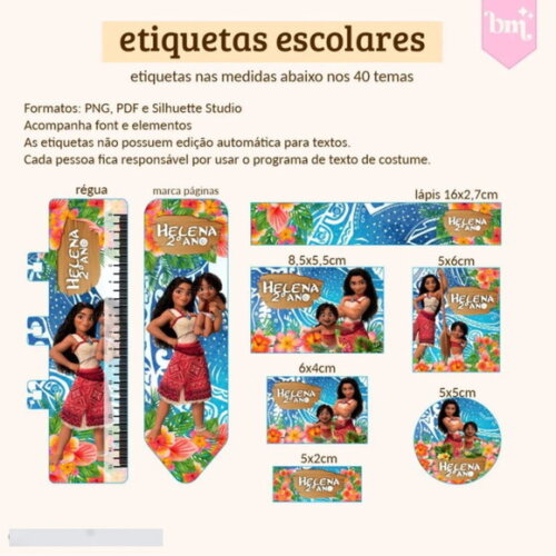 Arquivo Digital Combo Etiquetas Escolares 40 Temas -1641