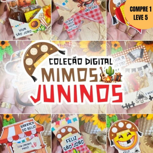 Arquivo Digital Mimos Juninos 2025 -3890