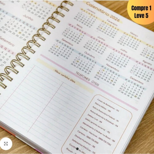 Arquivo Digital Miolo Agenda Master Semanal 2025 -284
