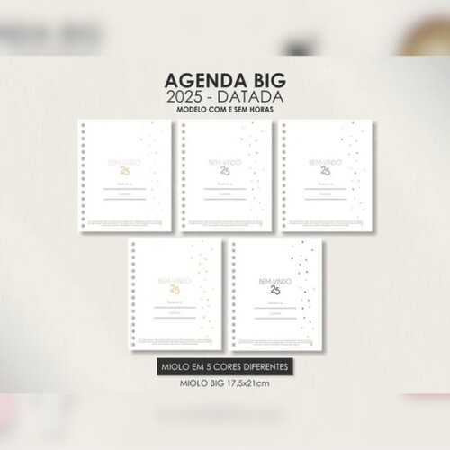 Arquivo Digital Miolo Big Agenda Visão Semanal 2025 - 179