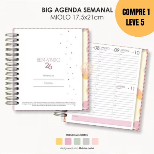 Arquivo Digital Miolo Big Agenda Visão Semanal 2026 -4989