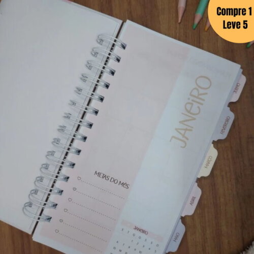 Arquivo Digital Planner Collors 2025 -894