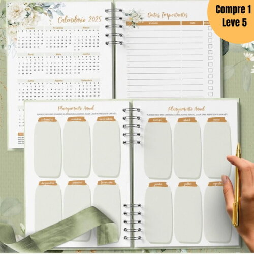 Arquivo Digital Planner da Pioneira 2025 -889