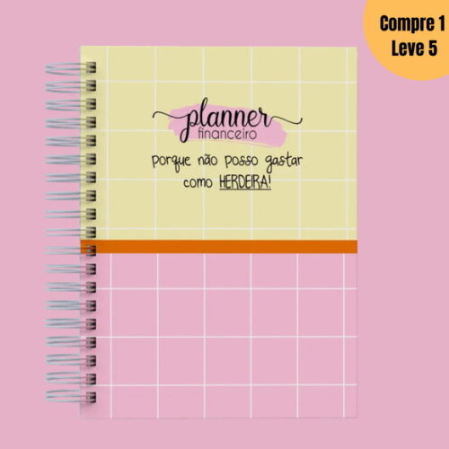 Arquivo Digital Planner Financeiro Frases -791