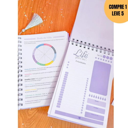 Arquivo Digital Planner Lachimolala -3963