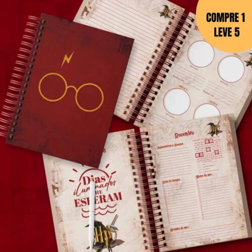 Arquivo Digital Planner Harry Potter -1920