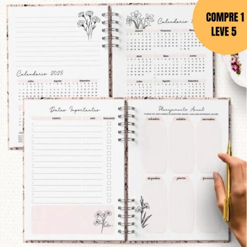Arquivo Digital Planner Pioneira 2026 Completo -4764