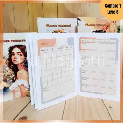 Arquivo Digital Planner Trimestral 4 Modelos -570