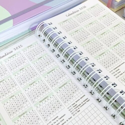Arquivo Digital Agendas Slim 2025 - 314