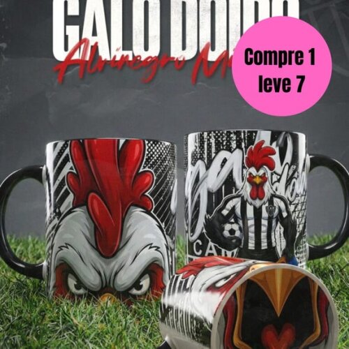 Arquivo Digital Bocão Brasileirão Sublimação -6461