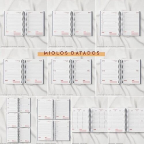 Arquivo Digital Combo Agendas Datada / Não Datada -316