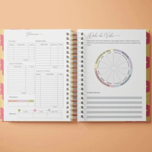 Arquivo Digital Combo Life Planner 2025 -892
