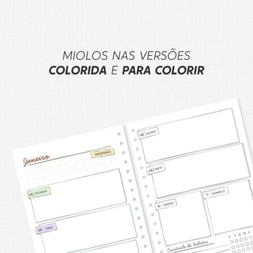 Arquivo Digital Combo Planner para Colorir 2026 -4522
