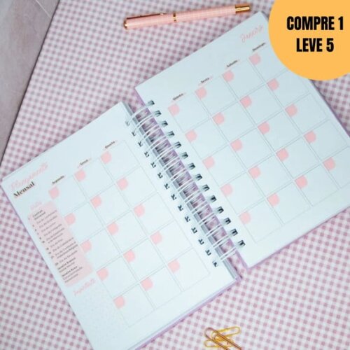 Arquivo Digital Combo Planner da Empreendedora + Artesã