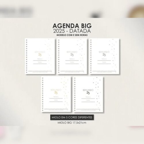 Arquivo Digital Miolo Big Agenda Visão Semanal 2025 - 179