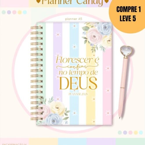 Arquivo Digital Planner A5 2026 -5249