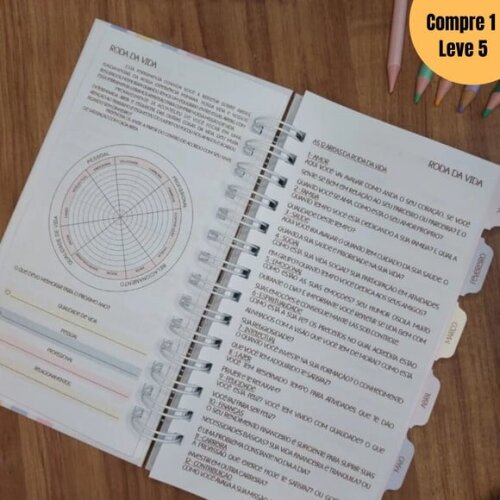 Arquivo Digital Planner Collors 2025 -894