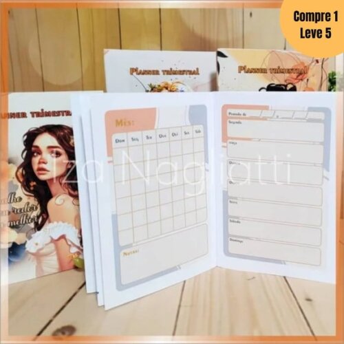 Arquivo Digital Planner Trimestral 4 Modelos -570