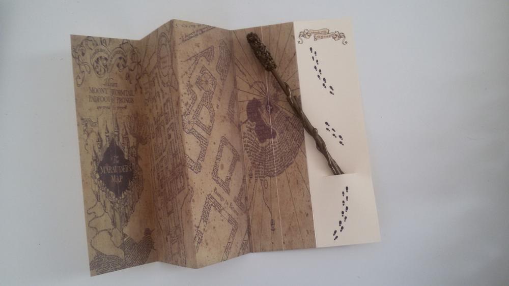 Varinhas Harry Potter + Mapa
