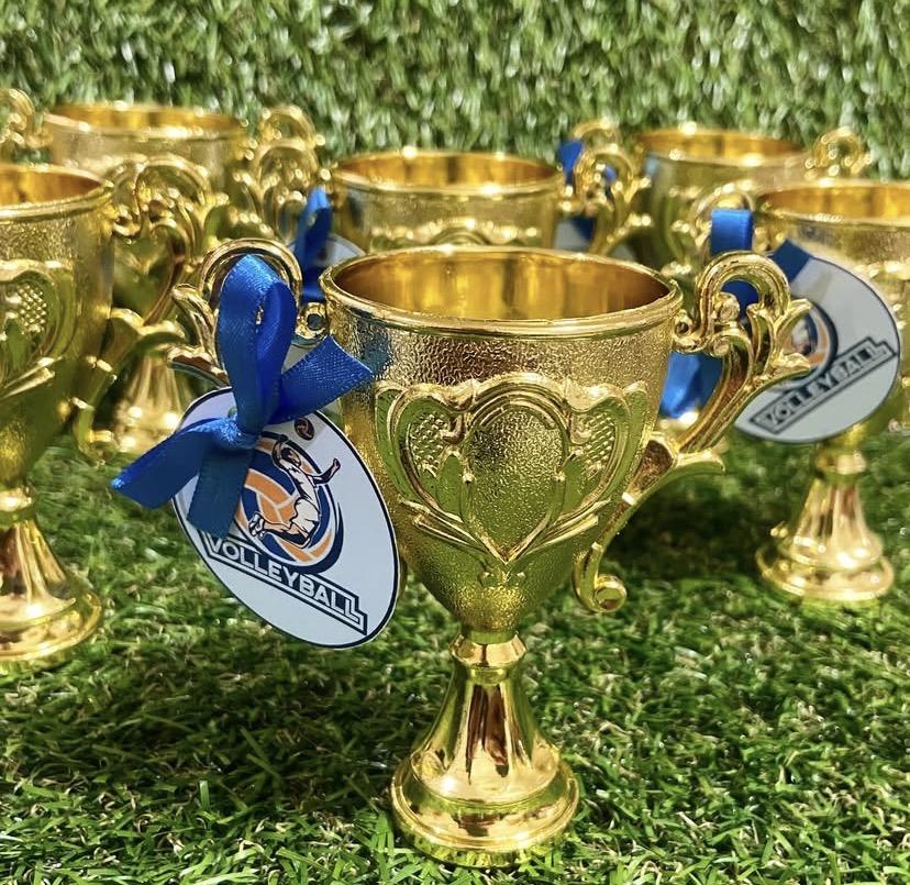 Troféu Dourado com Tag Personalizada