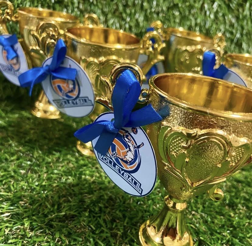 Troféu Dourado com Tag Personalizada