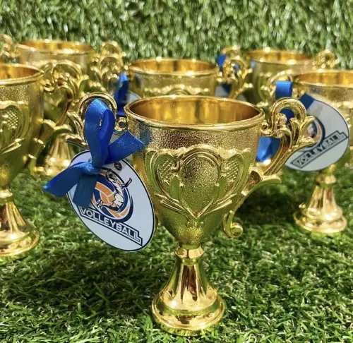 Troféu Dourado com Tag Personalizada