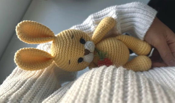Coelhinho da Páscoa com Cenourinha
